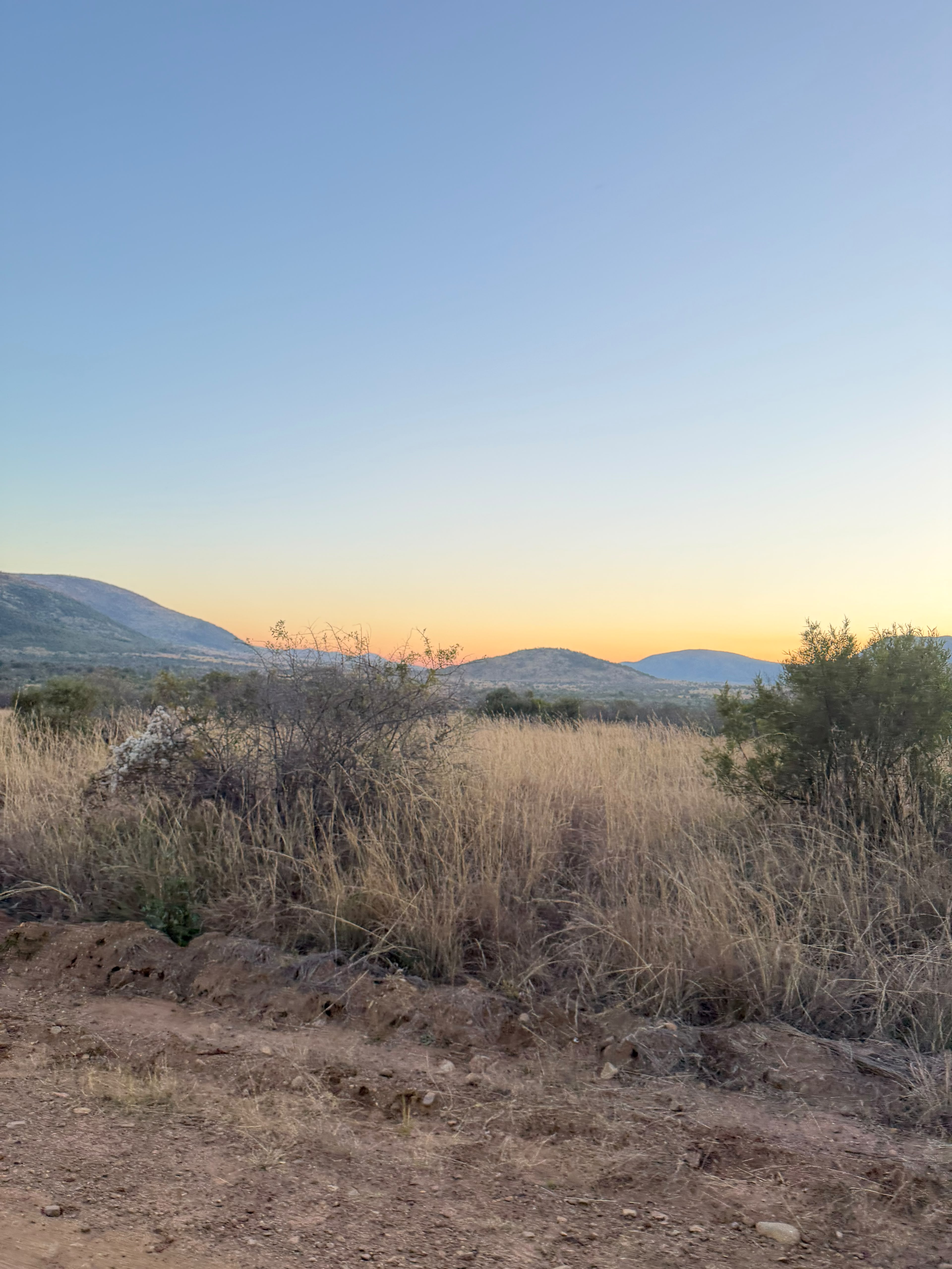 Mountain landscape view